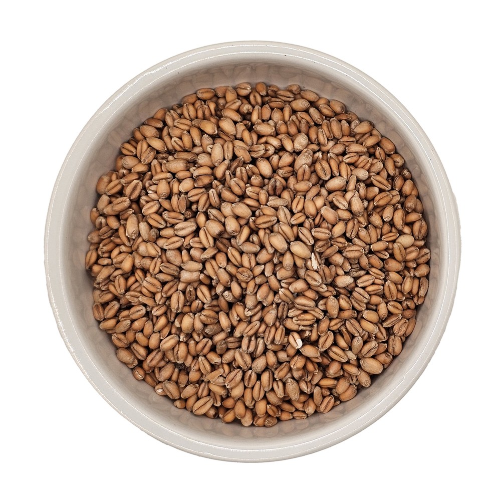 Home Brew Ohio Torrified Red Wheat Grain 5lb