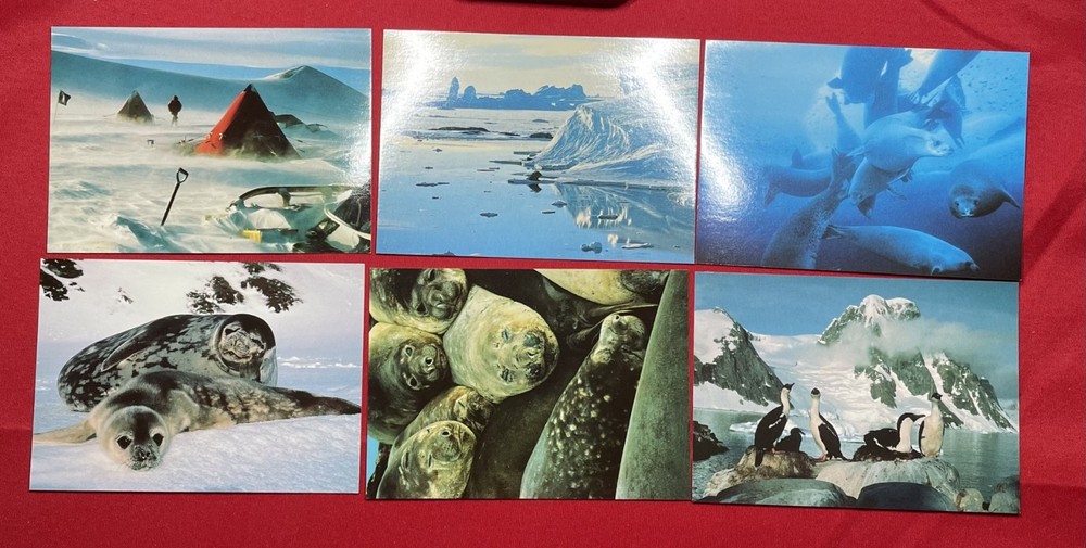 56 x British Antarctic Territory BAS Postcards