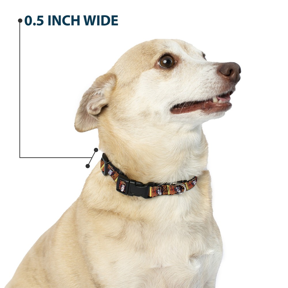 Plastic Clip Collar Geisha Distressed Repeat Medium 11-16.5"
