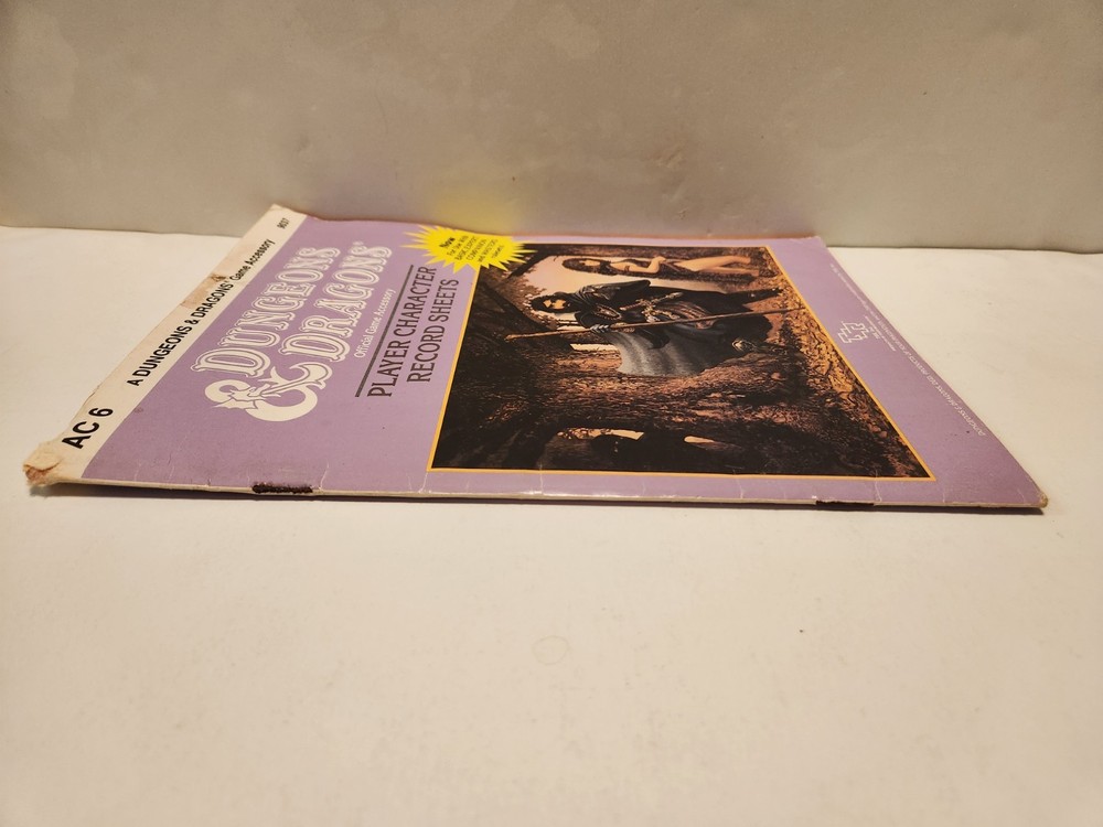 Dungeons & Dragons Player Character Record Sheets AC6 Plus Extra Loose Sheets