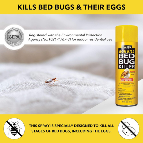 Bed Bug and Egg Killer, 16oz Aerosol Spray
