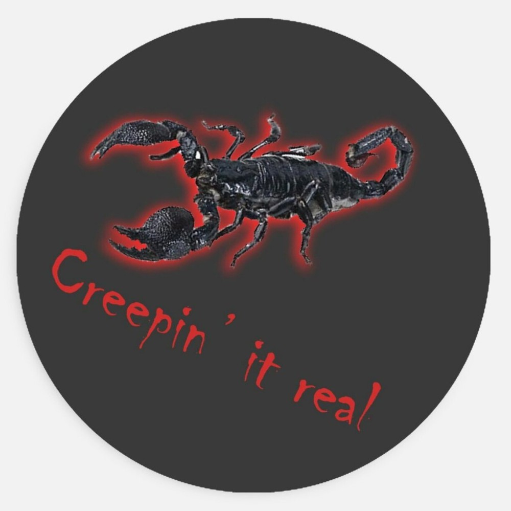 Creepin it Real SCORPION pun 1.5in sticker