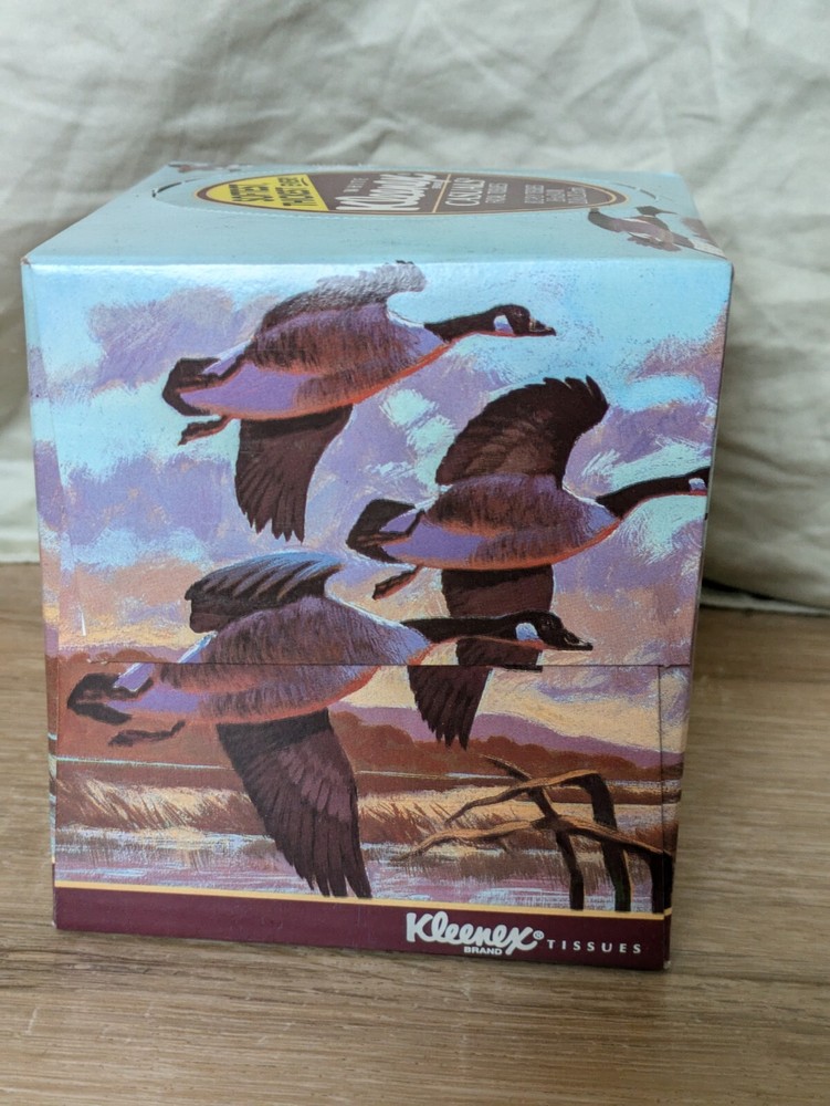 Vintage 1992 902 Kleenex Square Box Geese Duck Pattern