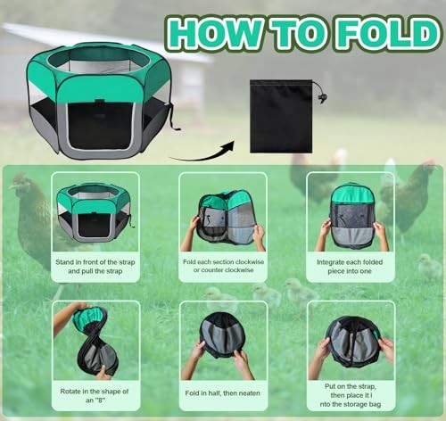 Pop Up Chicken Brooder Starter Kit - Easy to Assemble, Portable & Easy to