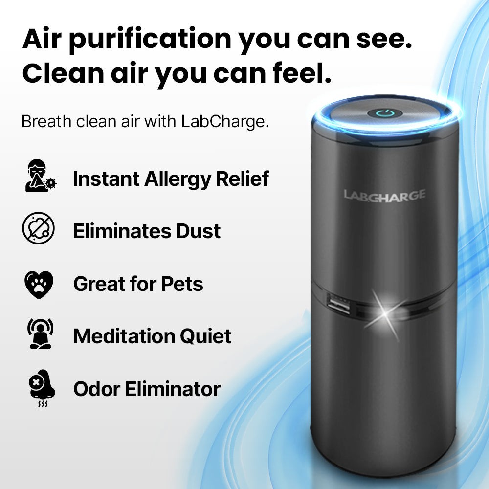 LABCHARGE Ionic Air Purifier 1611K