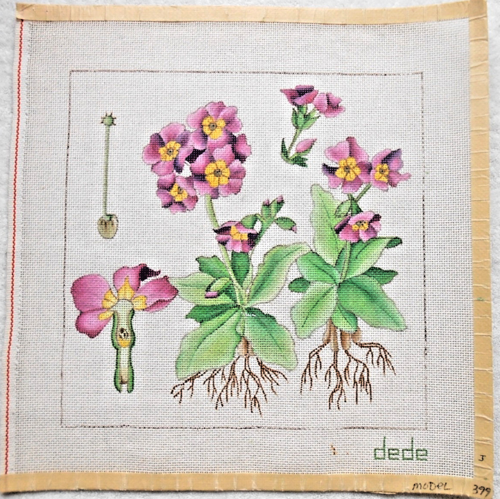 #399 DEDE HAND PAINTED NEEDLEPOINT CANVAS BOTANICAL STUDY (PRIMROSE?) - NEW!