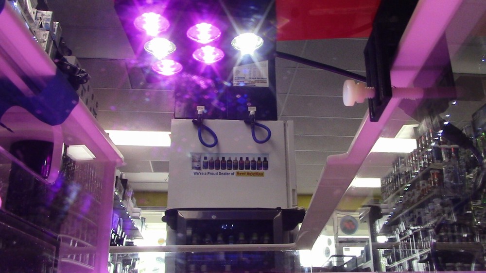 Refugium light WSR-TRC6 for growing Chaeto and macroalgae