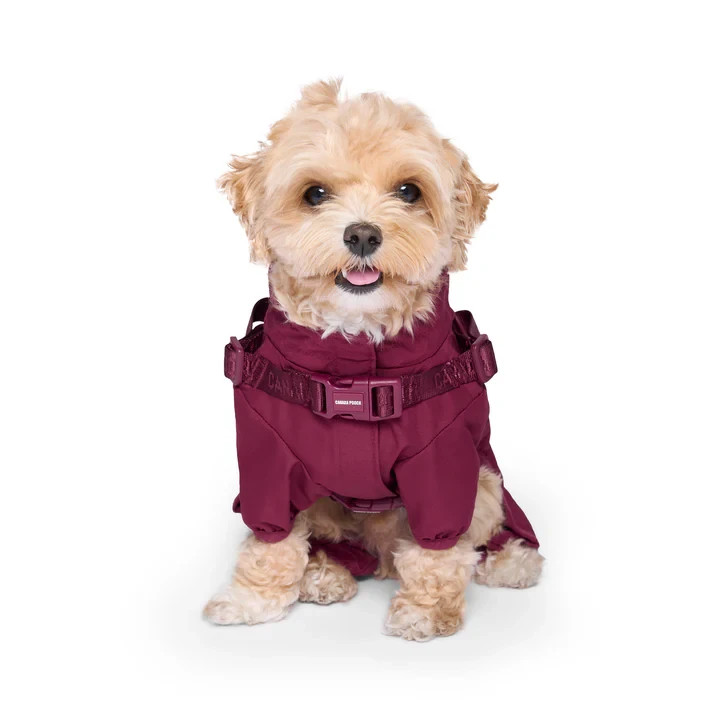 Canada Pooch Harness Snowsuit - Black or Plum - Various - £55