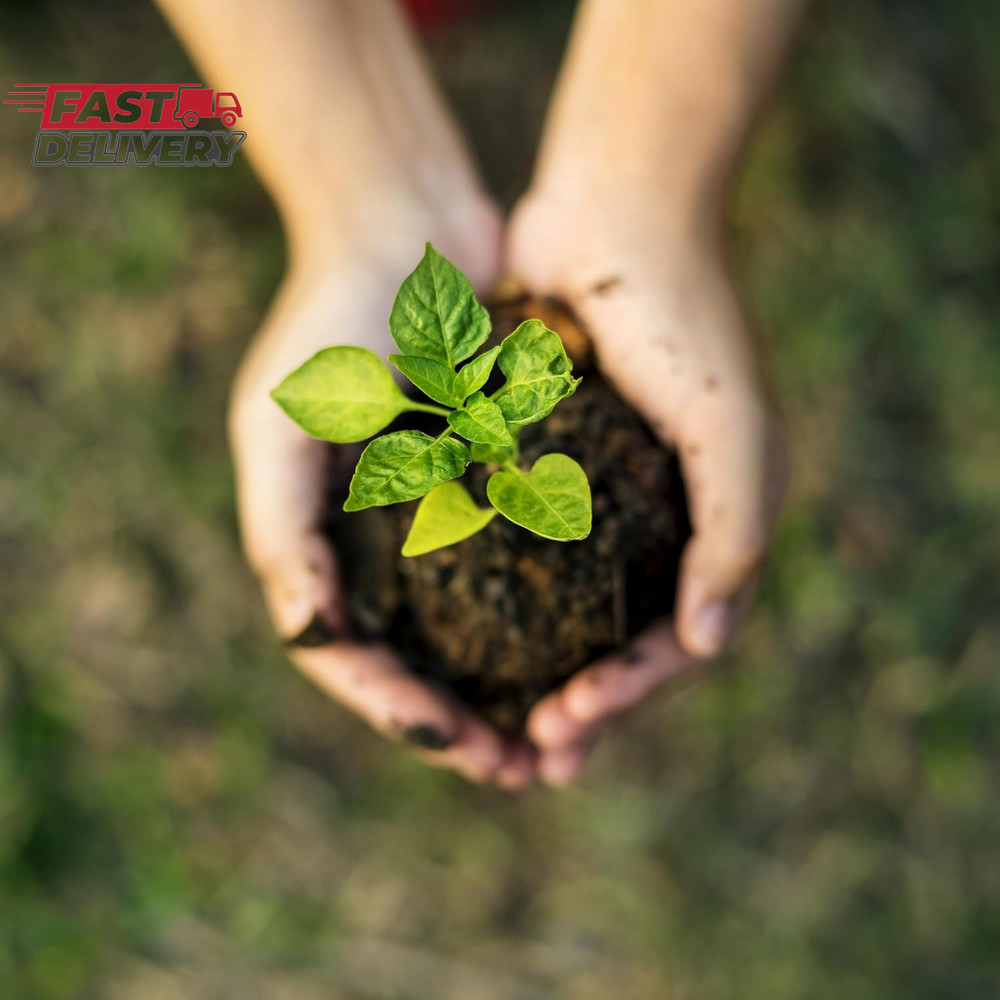 Magic Products Buss Worm Bedding, 5-Pound,Black