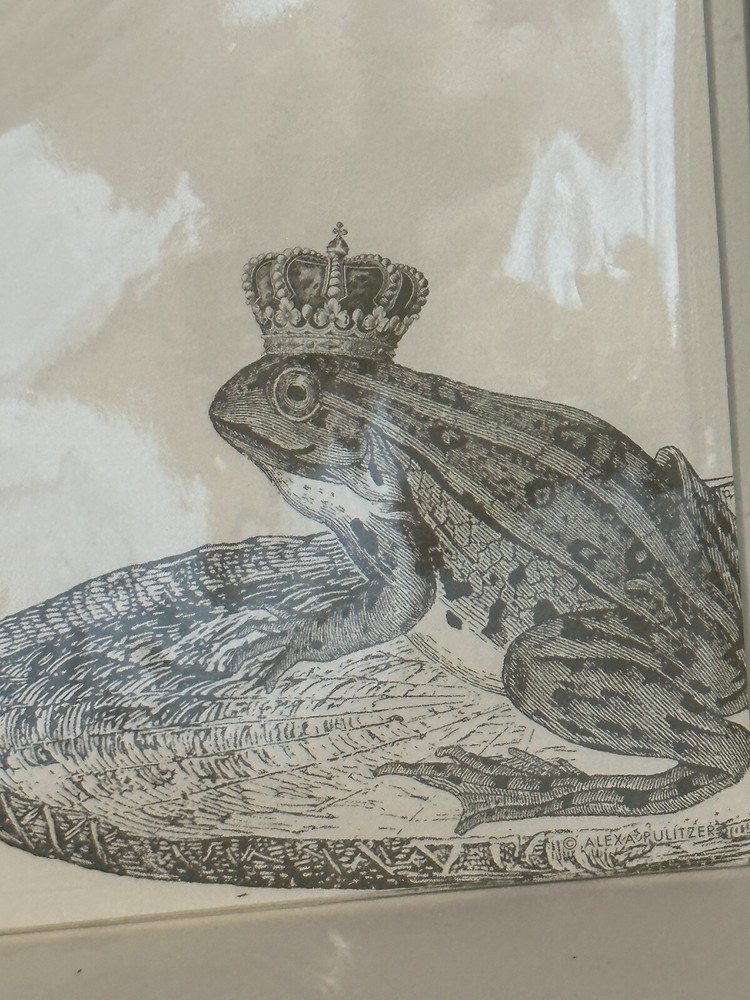 Alexa Pulitzer | 9 Notes & 9 Envelopes | CROWNED FROG