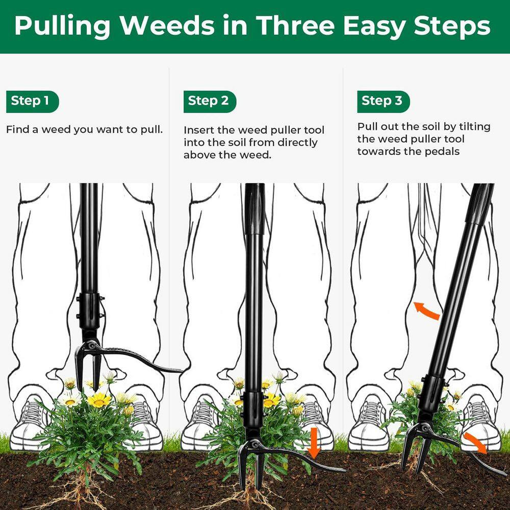 Weed Puller Tool with 4 Claw Head and Long Adjustable Handle for Different Heigh