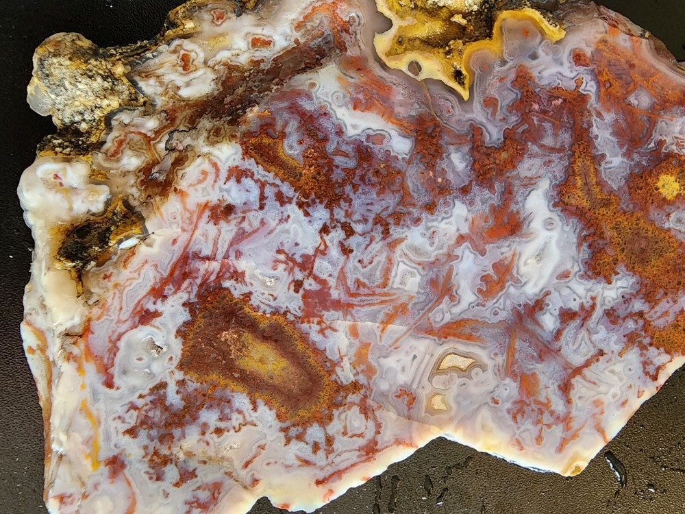 Moss agate Maury Mountain