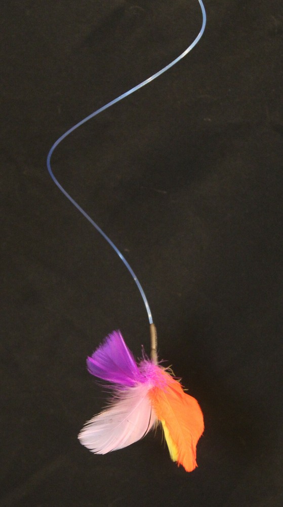 PRE-RELEASE: Introducing... The "Jerry Curl" Brand Interactive Cat Toy