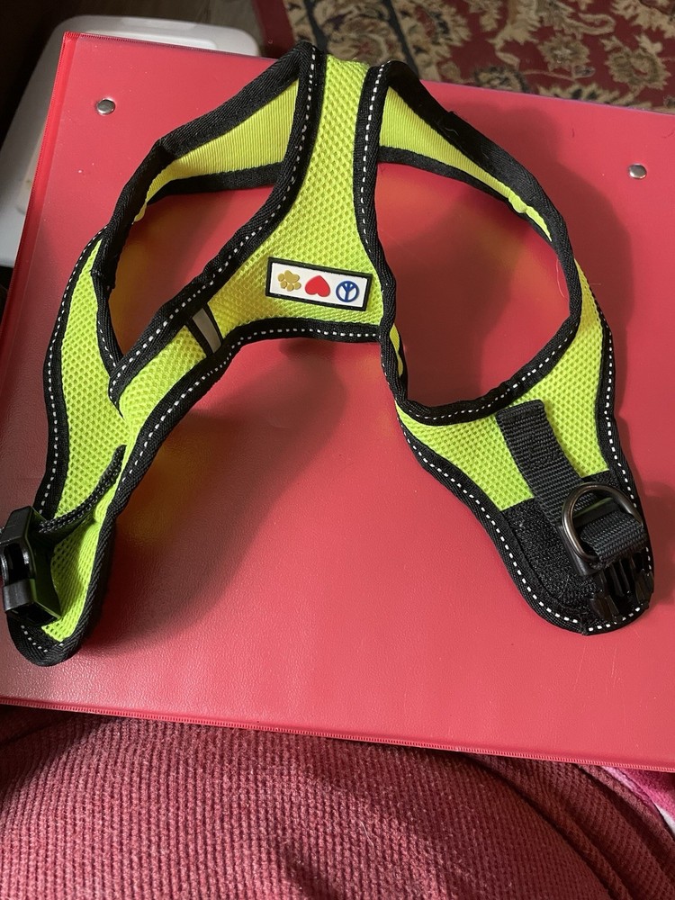 Dig Halter Yellow Black