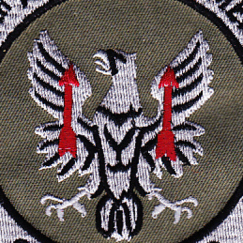 11th Aviation Attack Regiment Patch OD