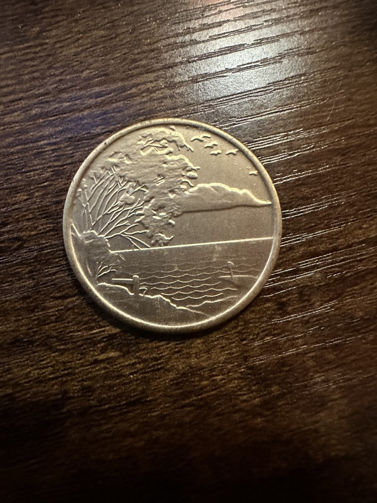 Serenity Coin Peace Within The Storm
