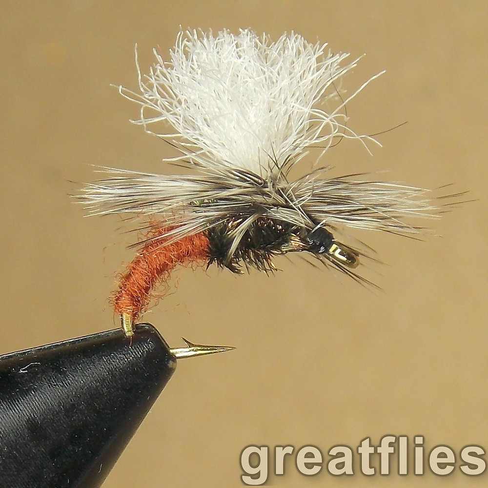 1 dozen (12) - Klinkhammer - BROWN