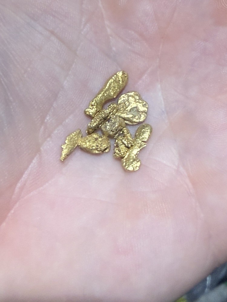 22k Gold Nuggets