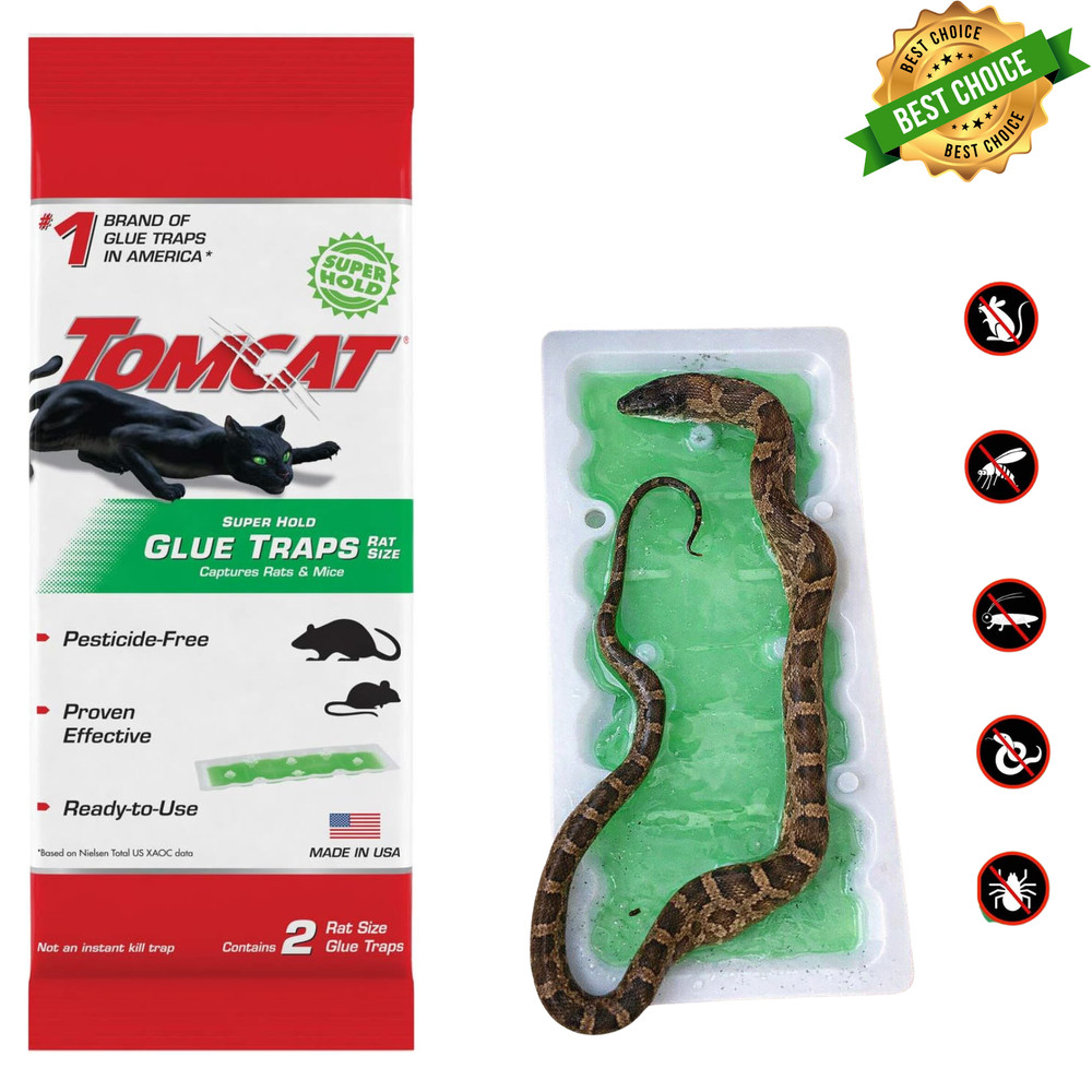 Super Hold Glue Traps - Ready-to-Use Rat Size for Efficient Pest Control