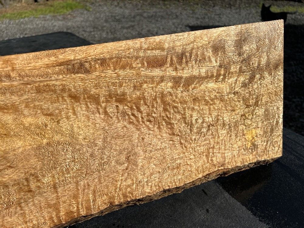 Hawaiian Curly Mango Board #14063
