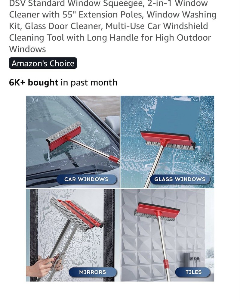 DSV Standard Window Squeegee