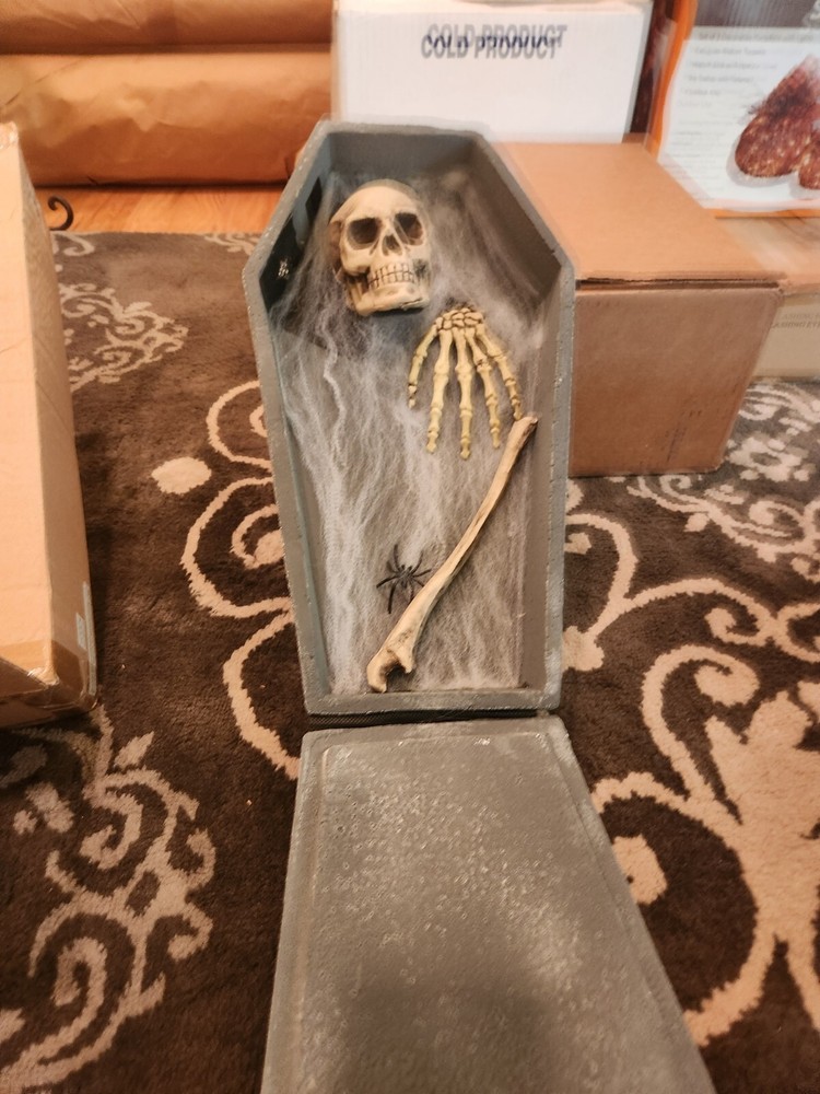 Halloween Skelton Coffin
