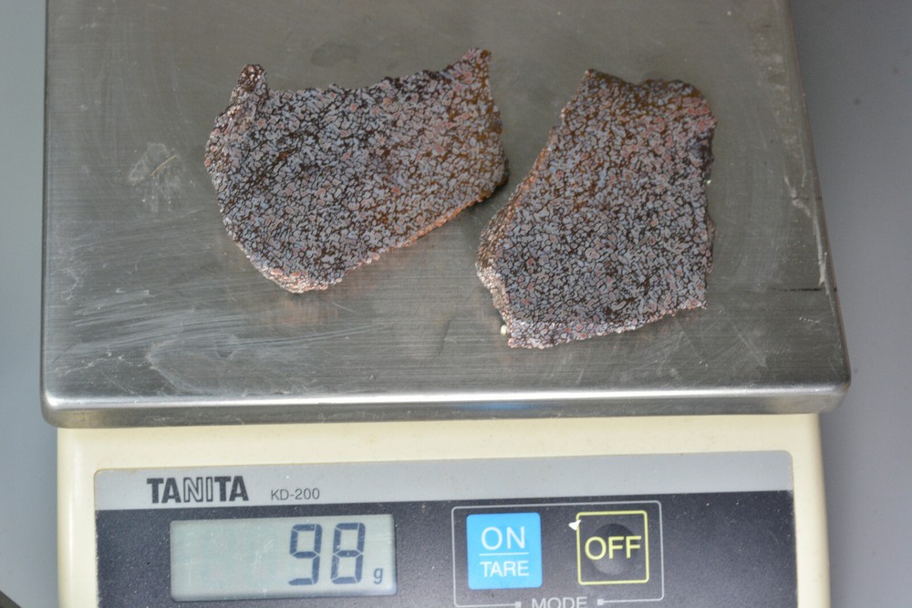 Agatized Dinosaur Bone Rough Utah 98 grams
