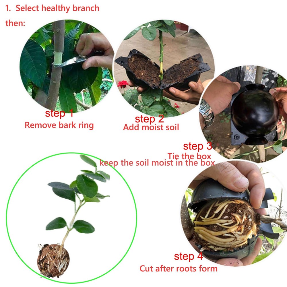 Tree Root Growing Box 10pcs Air Layering Propagation Ball Kit
