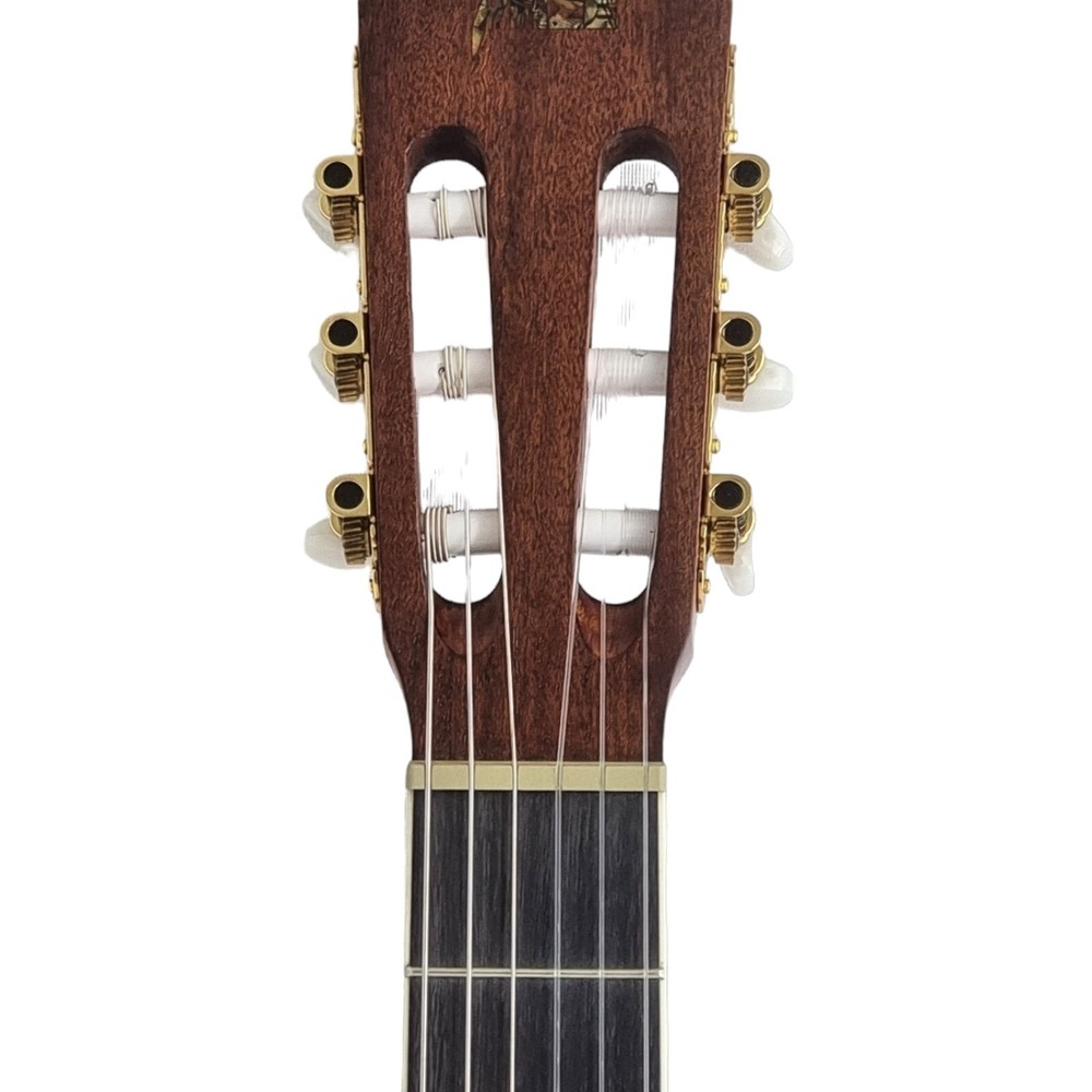 Haze Solid Top Thin Body Arched Back Classical Guitar - Matte C551BCEQSM