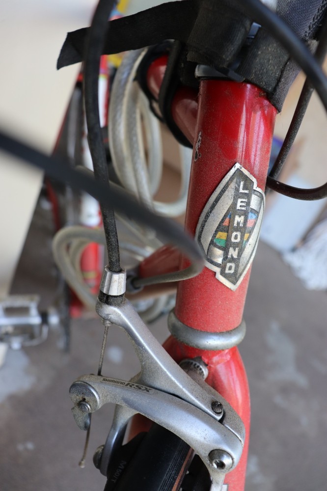 Lemond Reynolds Bicycle Racing