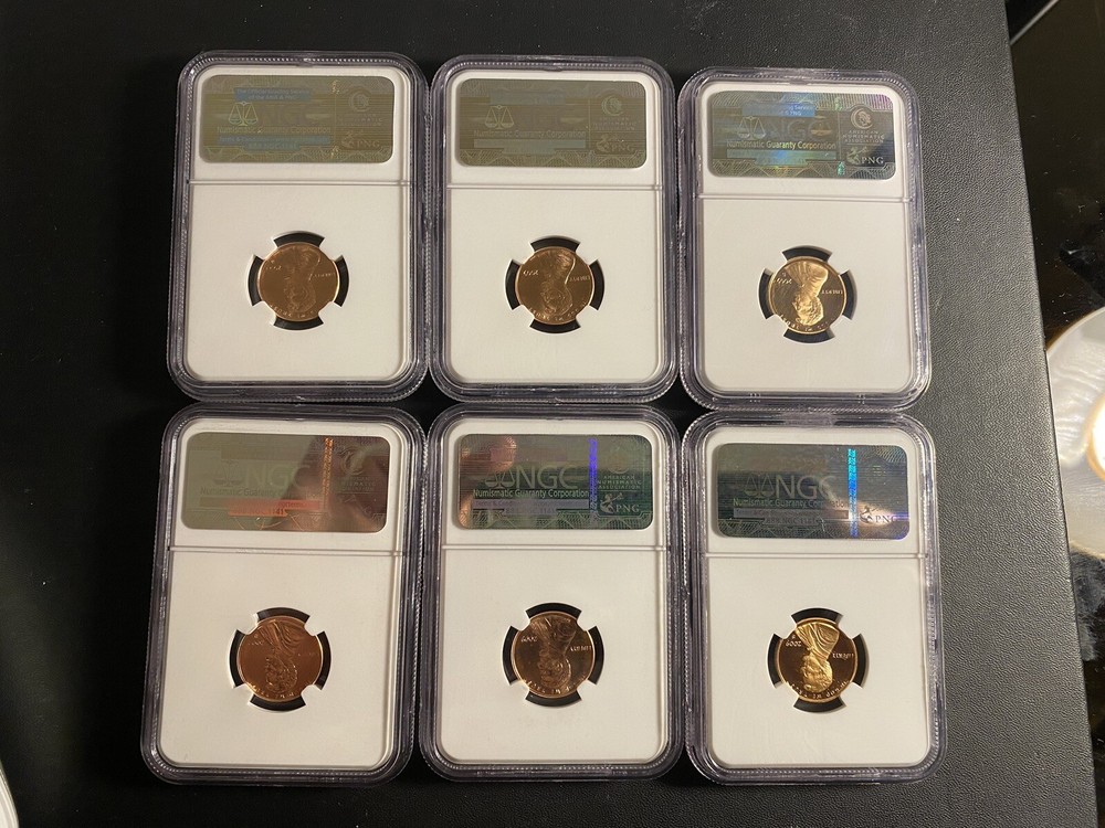 17 Lincoln Cent NGC Collection 2009-2010 Diff. Mint Marks/Different Grades/Type