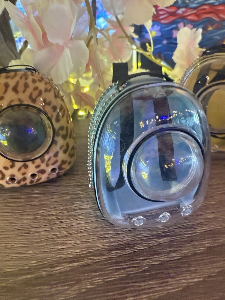 Labubu backpack and a mini figure inside