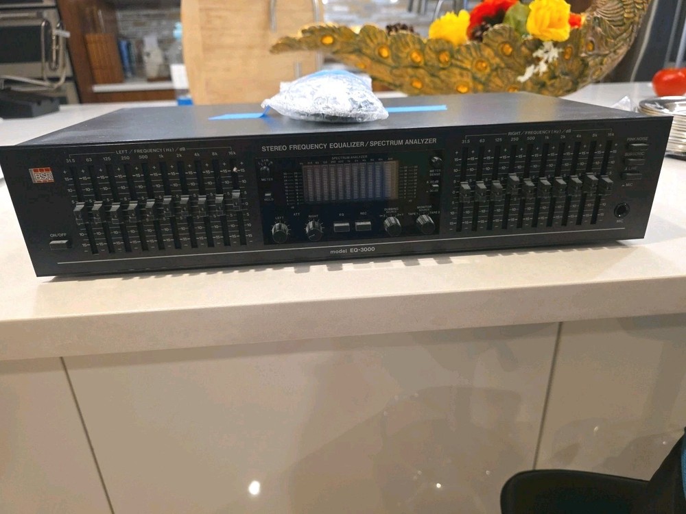 BSR EQ 3000 Stereo Frequency Equalizer Spectrum Analyzer Works Good