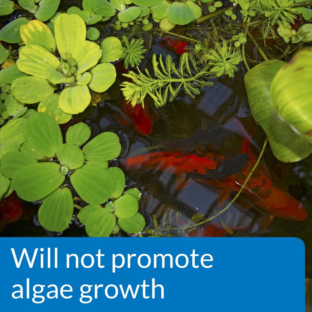 API POND pH DOWN Pond Water pH Reducing Solution 16-Ounce Bottle, White,