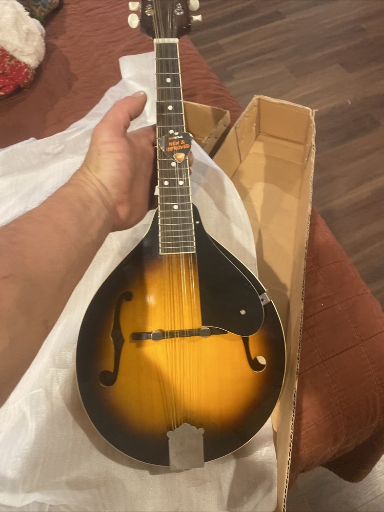 Johnson Oval Hole Mandolin MA-100