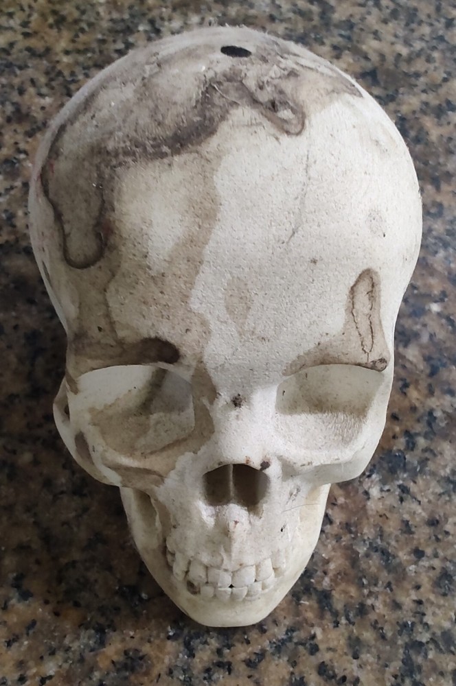 🗽3D PRINTED SKULL 4"