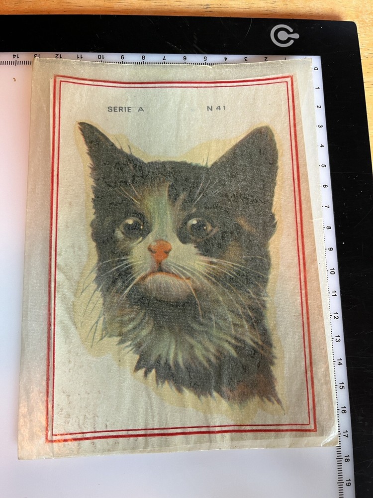 Vintage Water Slide Decals Cat