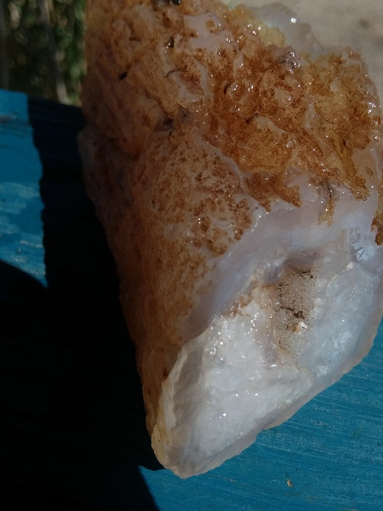 Chalcedony Filling Possible Petrified Would Opalized