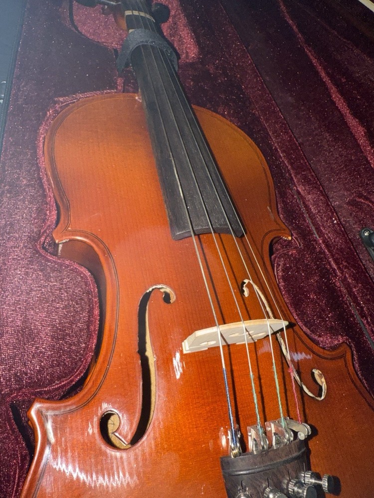 1038 14” Viola