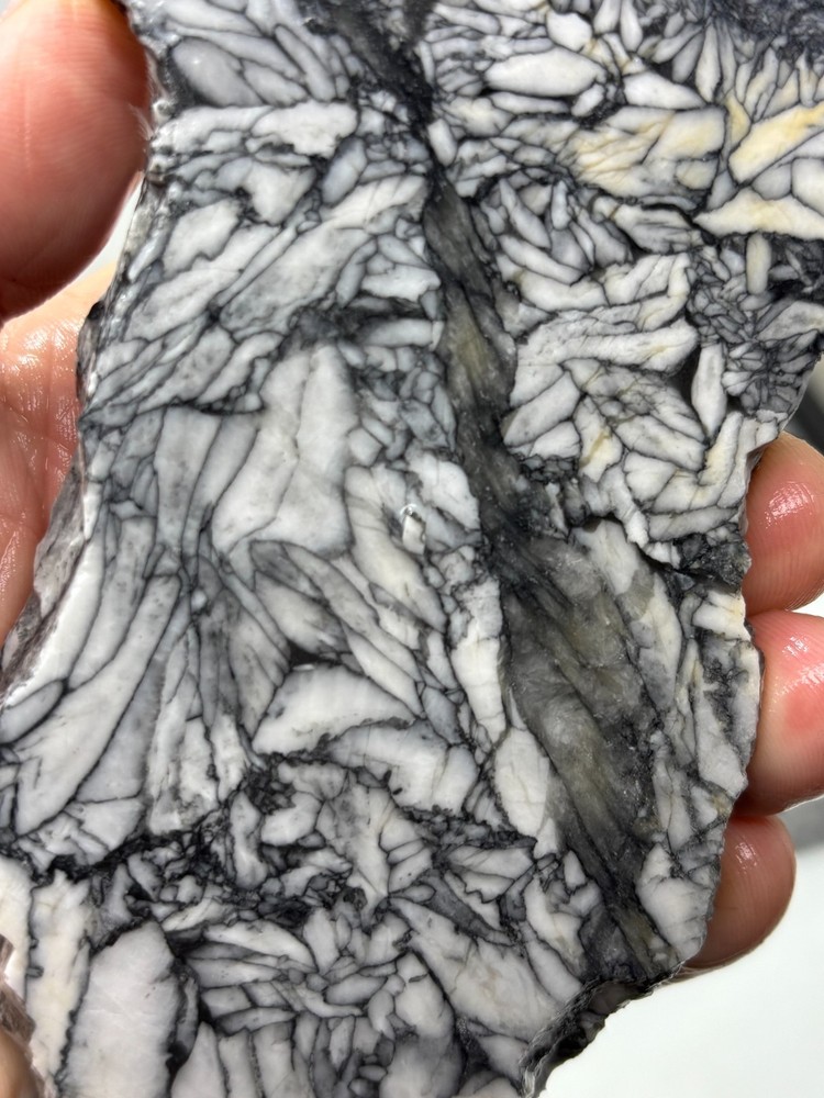 Rare Pinolith Slab Austria Cabbing Lapidary Combo Ship Avail