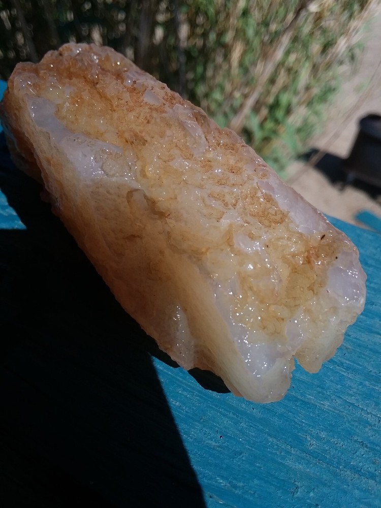 Chalcedony Filling Possible Petrified Would Opalized