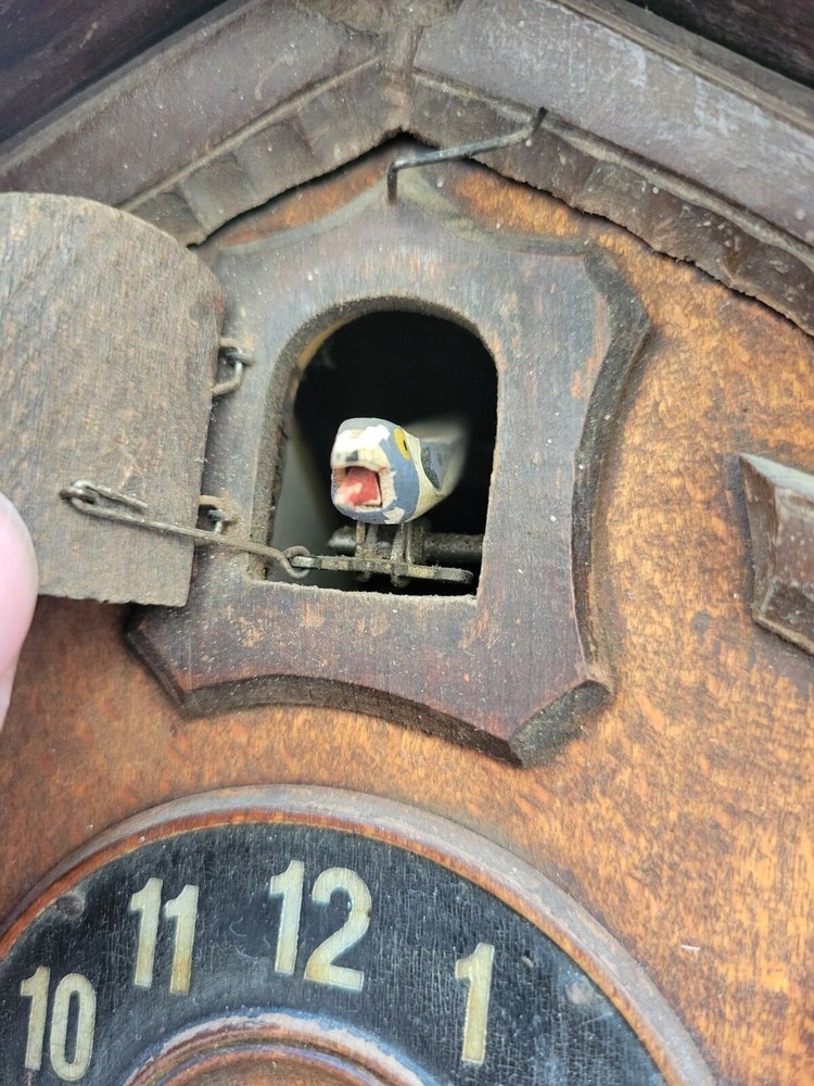 Vintage German Cuckoo Clock Black Forest Bird