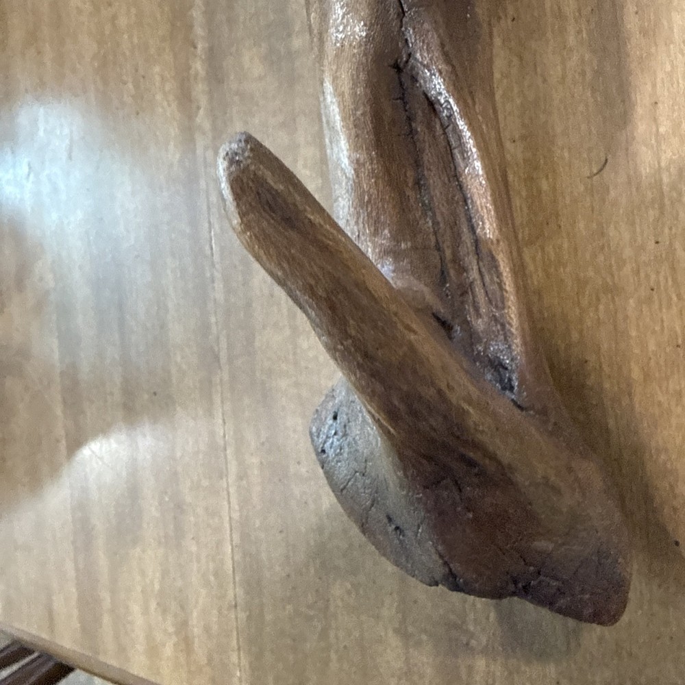 Driftwood Art Or Decoration