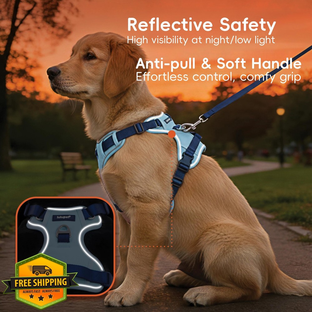 3-in-1 No Pull Dog Harness Leash Collar Blue Medium Reflective