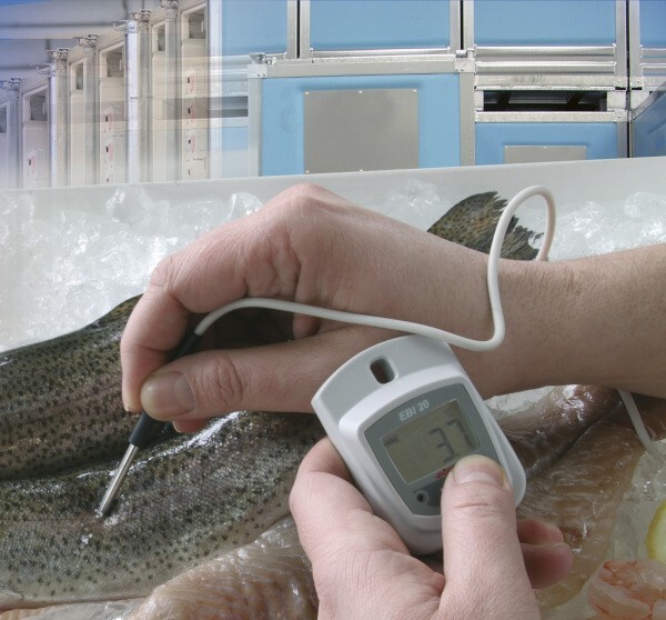 Ebro EBI 20-TE1 Standard Temperature Data Logger