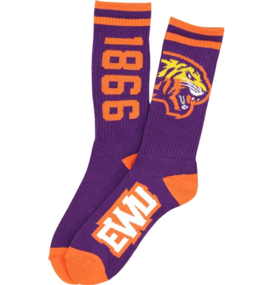 Edward Waters University Socks-New!