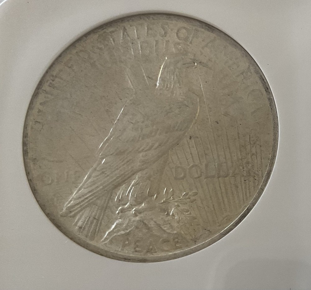 NGC 1923 Peace Silver Dollar, Graded MS63