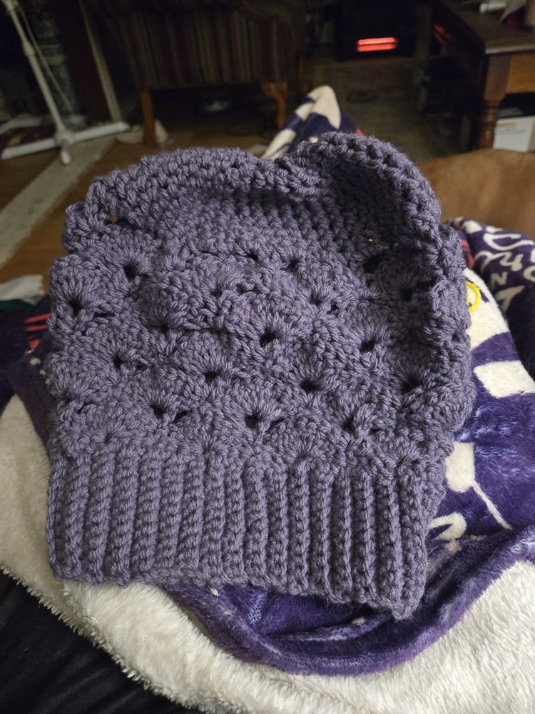 Crocheted Purple Hat
