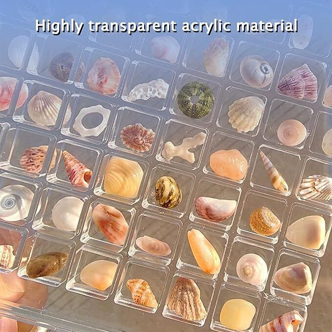 Acrylic Magnetic Seashell Display Box, 36/64/100 Grids Seashell Display Box