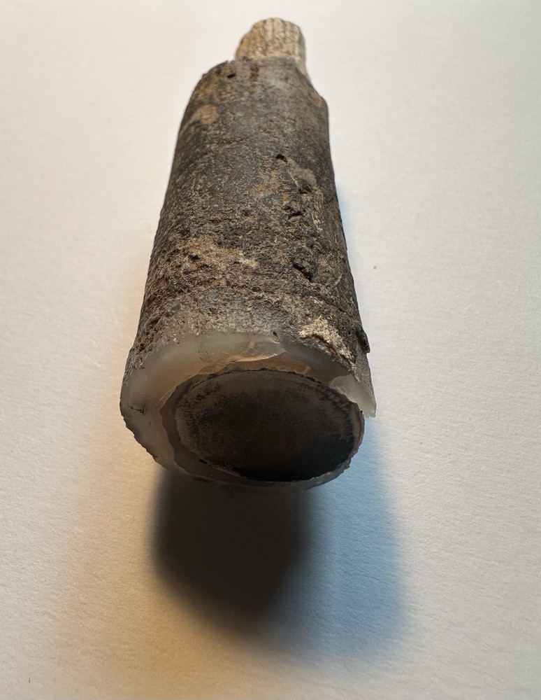 Fossilized Petrified Wood Limb Cast Branch Segment Approx. 4 Inch